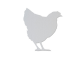 Poule - L -