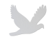 Oiseau - L -