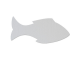 Poisson - L -