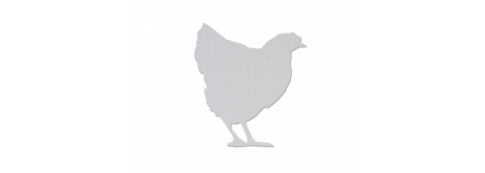 Poules