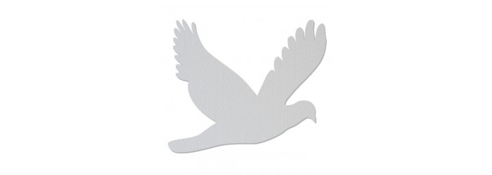 Oiseaux