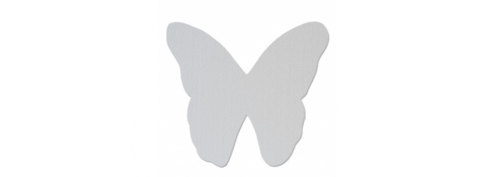 Insectes (papillons, coccinelles,...)